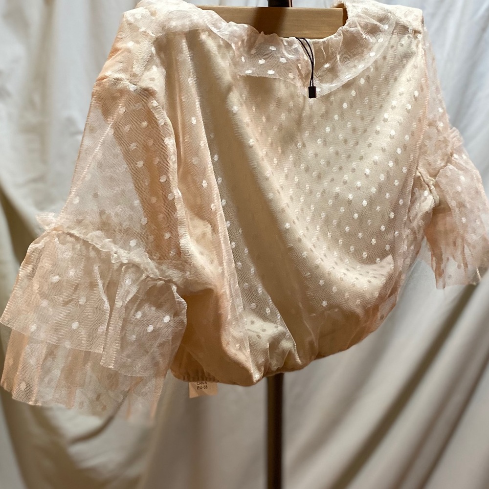 NastyGal Sheer Thing Mesh Plunging Crop Top